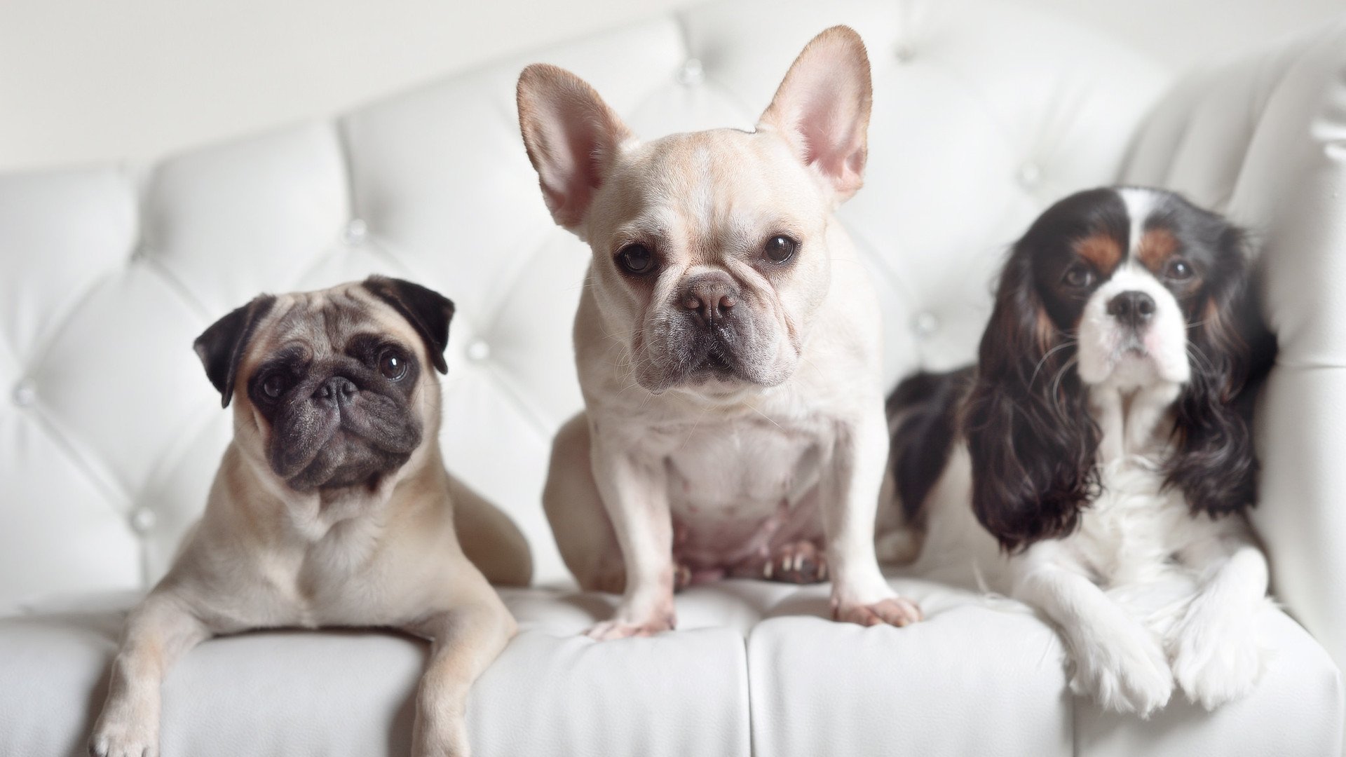 年度焦点之战之夜，拉文硬仗之王