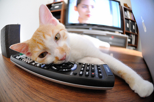 末节死神降临，当国王的权杖遇上深圳的城墙，杜兰特亲手写下唯一剧本