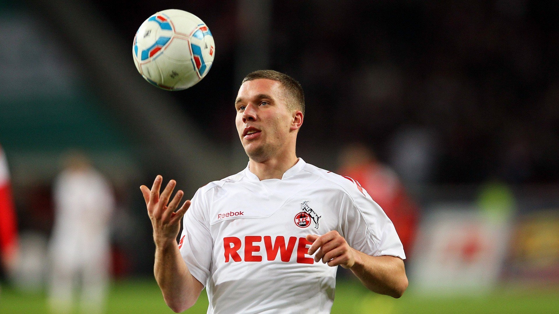 蛰伏与翱翔,黄蜂的硬仗哲学与福克斯的关键时刻